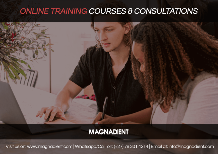 Accelerate Your Career with Magnadient’s Online Training Programs