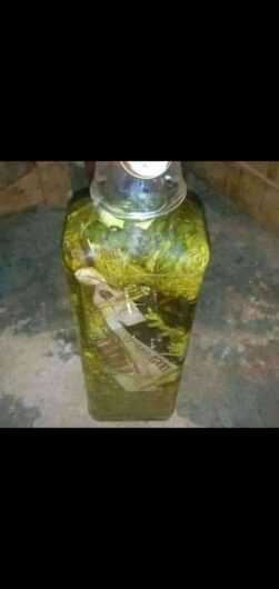 The best powerful spiritual herbalist native doctor in Nigeria+2348051831932