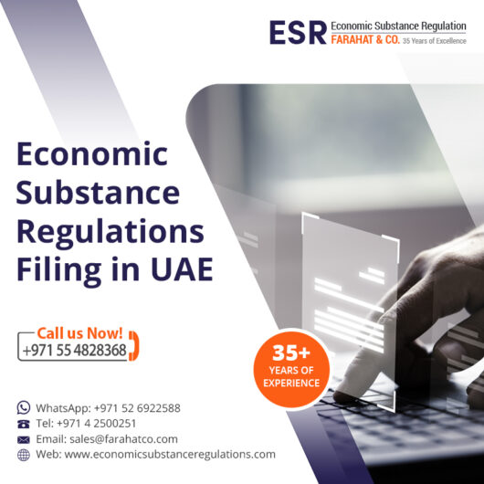 How to appeal for ESR penalties in UAE