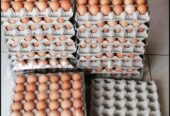 Farm fresh chicken eggs for sale.