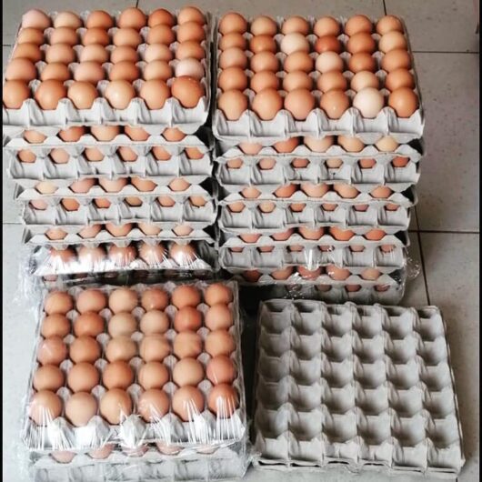 Farm fresh chicken eggs for sale.