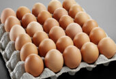 Fresh brown and white eggs for sale.