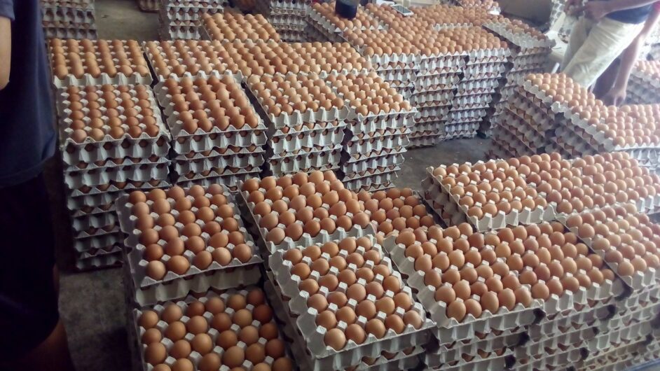 Brown and white eggs wholesale price.