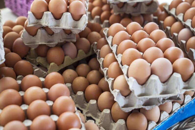 Poultry table brown and white eggs for sale.