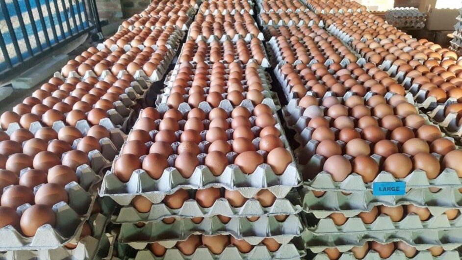 Poultry table brown and white eggs for sale.