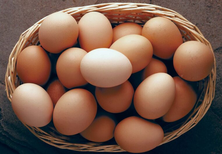 Wholesale fresh chicken eggs WhatsApp number: +27839731047.