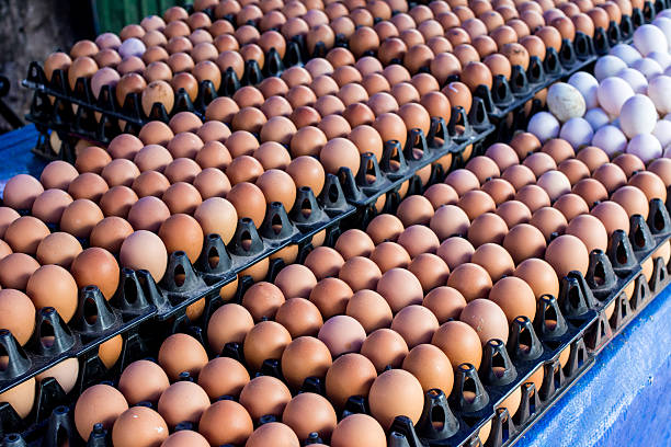 Healthy fresh poultry eggs for sale WhatsApp number: +27839731047.