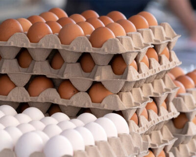 Eggs1