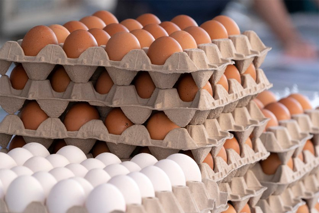 Fresh brown and white eggs for sale.