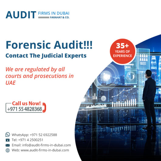 Looking for Audit Services in Dubai Call us 042500251