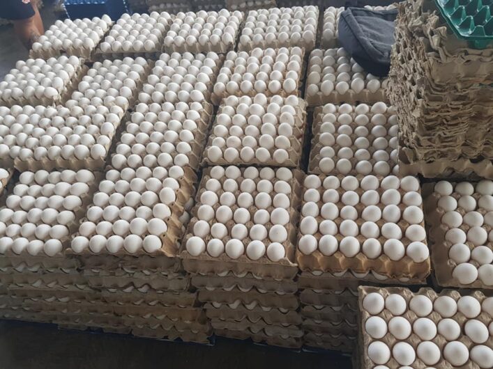 Brown and white eggs wholesale price.