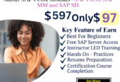 SAP Training In Beginner At $97