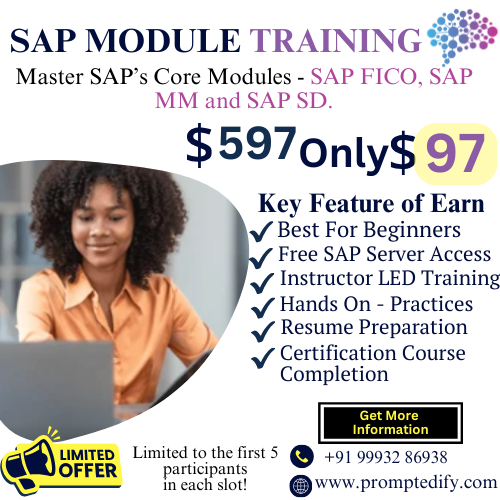 SAP Training In Beginner At $97