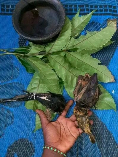 The Best Powerful spiritual herbalist in Ogun State Nigeria+2349032022651