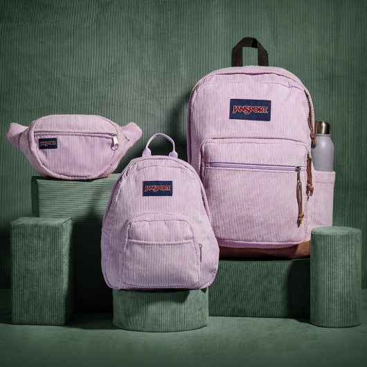 Shop Stylish Backpacks and Bags in South Africa | JanSport