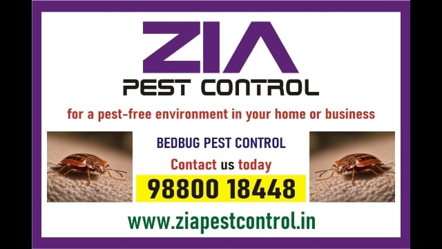 Zia Pest control | Bedbug Treatment | Rodent | 1981 Bedbugs service