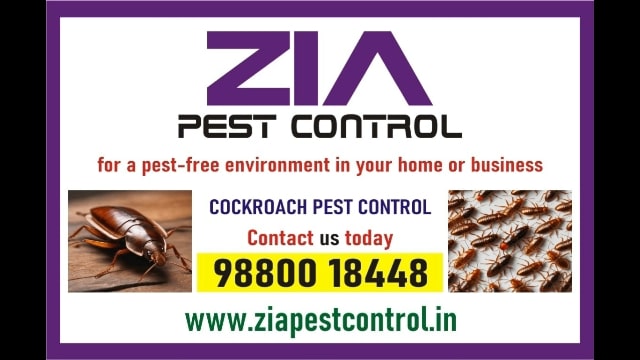 Zia pest control service Say goodbye to these pesky insects