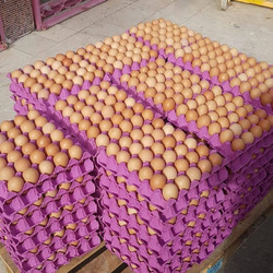 Table chicken eggs (fresh farm white and brown eggs) for sale. WhatsApp +27839731047.