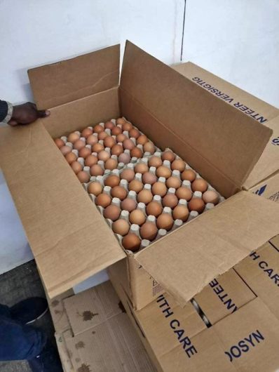 Fresh brown chicken eggs / South African chicken eggs / Fresh brown eggs. WhatsApp +27839731047.