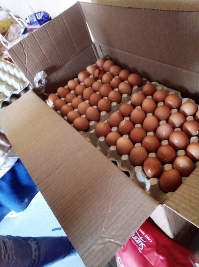 Organic-Fresh-Chicken-Table-Eggs- for sale. WhatsApp +27839731047.