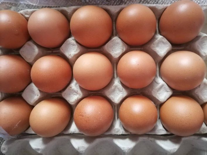 Fresh chicken eggs for sale. WhatsApp +27839731047.