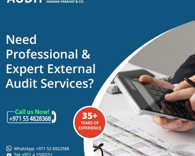 Need-Professional-Expert-External-Audit-Services