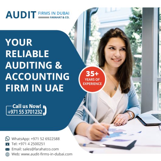 Looking for Audit Services in Dubai Call us 042500251