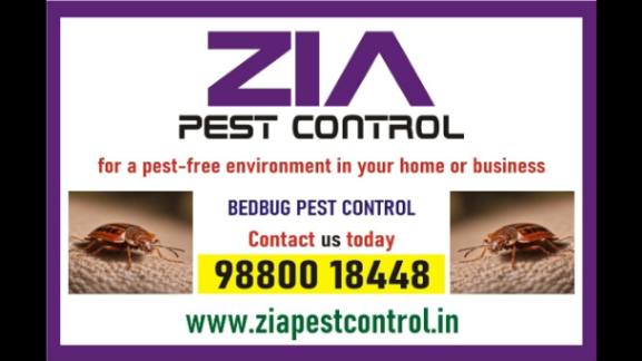 Bedbug Treatment | white field Bangalore | 100% safe Service | 4029