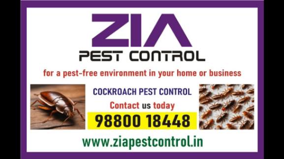 Top Cockroach Pest Control | Garden pest control | Ant | Lizard | 4029