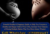 Powerful Fertility Spells for Women Struggling to Conceive, Fast-Acting Pregnancy Spells for Expecting Mothers +27836633417