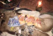 Money Spells that brings Instant Wealth cell +27631229624.