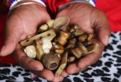 RELIABLE SANGOMA ⓶ [+27764410726] TRADITIONAL HEALER ⓶ In Bredasdorp , Bronkhorstspruit , Burgersdorp, South africa, Butterworth , Caledon , Camperdown , Cape town , Carltonville , Centurion , citrusdal , Clocolan , Cofimvaba , Cradock , Creighton , Cullinan ,Delmas , Dundee ,
