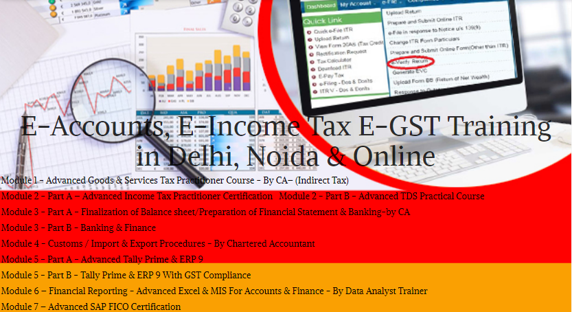 The Evolving Role of Accountants: Why Learning Accounting in 2025 Matters, 100% Job, Accounting Certification Training in Delhi, 110056 – Free SAP FICO Certification by SLA Consultants India