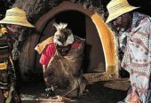 NUMB 1 GLOBALLY KNOWN +27824771210 TRADITIONAL {{SPIRITUAL HEALER IN PARAGUAY, PERU, PHILLPPINES, PORTUGAL, PUERTO RICO, RUSSIAN MEXICO, MONETT, NEOSHO, NEW MADRID, ROLLA, SAINT, CHARLES, SAINT, JOSEPH, SAINT, LOUIS, SAINTE, TORBAY LINCOLN SHEFFIELD BASINGSTOKE BEDFORD WORCESTER FREMONT, GRAND, ISLAND, HASTINGS, KEARNEY, LINCOLN, MCCOOK, MINDEN, NEBRASKA CITY