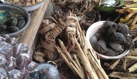 RETURN~EX LOVE SPELLS(♥+27608019525♥) SANGOMA IN New Zealand, Wellington, Dunedin, Queenstown, Auckland, Rotorua, Tauranga, Picton, Napier, Christchurch, Australia, Christchurch, Australia, Sydney, Melbourne, Canberra, Brisbane, Adelaide, Perth, Hobart, Darwin, Cairns, Gold Coast,ydney, Melbourne, Brisbane, Perth, Canberra, Gold Coast, Adelaide, Hobart, Cairns, Darwin, Newcastle,Wologong