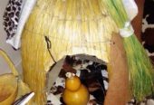 SANGOMA +27(60)680-4550 TRADITIONAL HEALER*~*BRING BACK LOST LOVER*~*IN*~*Pretoria , Dendron , hammanskraal, Seshego, zebediela, Bochum, Elim , Duiwelskloof , mesina ,Ellisras , ERMELO, GROBLERSDAL