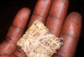 +27710667601– Effective Love Spells Caster, SPIRITUAL HEALER /SANGOMA /Voodoo Spells Caster / Death & Revenge Spells in South africa ,Montenegro, Morocco, Netherlands, New Zealand, Nicaragua, Nigeria, Norway, Oman, Pak istan, Panama Paraguay, Peru, Philippines, Poland, Portugal ,Qatar, Romania, Russia Serbia, Singapore, Slovakia, South Africa