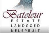 Bateleur Estate