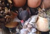 TOP RANKING LOVE SPELL CASTER +27824771210 NO. 1 SANGOMA SPIRITUAL HEALER in AFRICA, JUBA, NAIROBI, DAR EL SALAM, LUSAKA, ANTANANARIVO, KAMPALA, HARARE,, MAPUTO, KIGALI, WINEJOK, MOMBASA, South africa ,BULAWAYO, MATOLA, monaco, LILONGWE, DJIBOUTI, BLANTYRE, ASMARA,BEIRA, YEI, RUIRU, HARGEYSA, N’DALATANDO, RUNDU, South africa ,FRANCISTOWN, PAJOK MWANZA, ZANZIBAR, KITWE, MALOPOLOLE, MALAKAL,