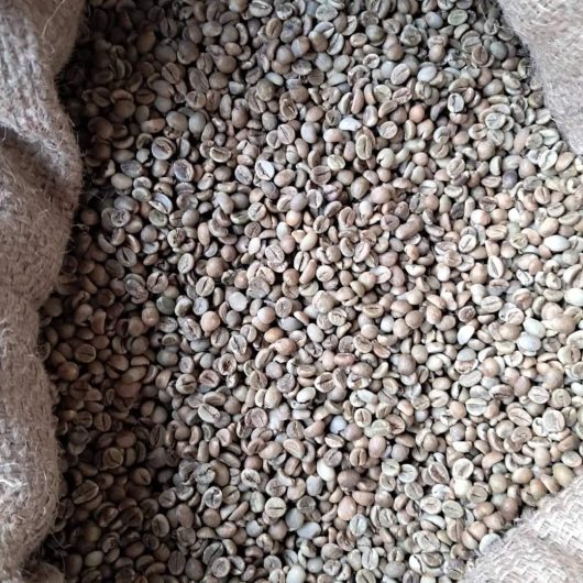 UGANDAN ROBUSTA AND ARABICA COFFE BEANS FOR SALE +27719755564