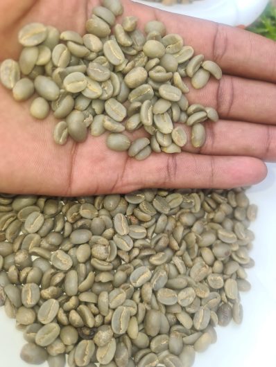 UGANDAN ROBUSTA AND ARABICA COFFE BEANS FOR SALE +27719755564