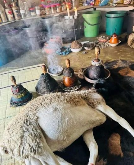 Astrologer In Malmö City in Sweden, Psychic Palm Reading In Lucas City in Kansas, United States Call +27656842680 Traditional Healer In Johannesburg City In Gauteng, Fortune Teller In Pietermaritzburg City South Africa