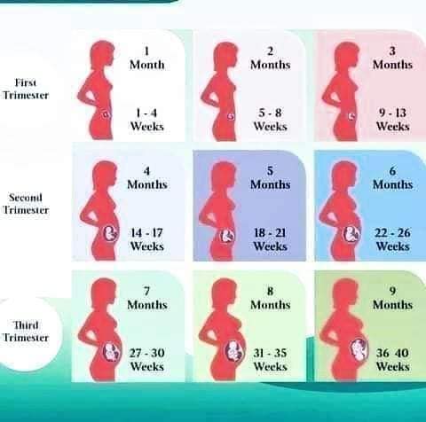 Affordable Abortion pills in Bizana, Eastern Cape+27 63 034 8600