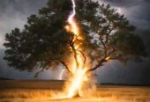 WITCHCRAFT CHARMS AND SPELLS IN BARBERTON+27734009912